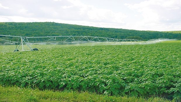 agriculture 1