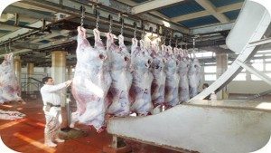 Viande rouge