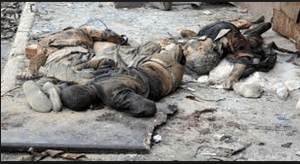 terroristes
