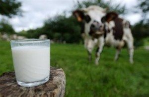 lait_verre_vache