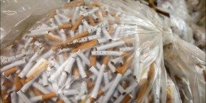 tabac de contrebande