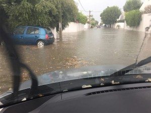 tunis3