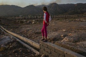 yazidi