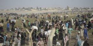 refugies