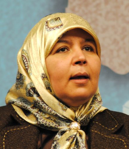 Meherzia laabidi
