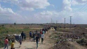 palestine
