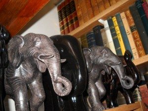 Les éléphants accompagnet les livres