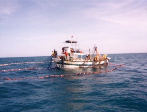 marins