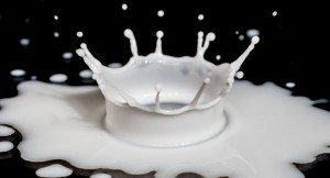 lait02