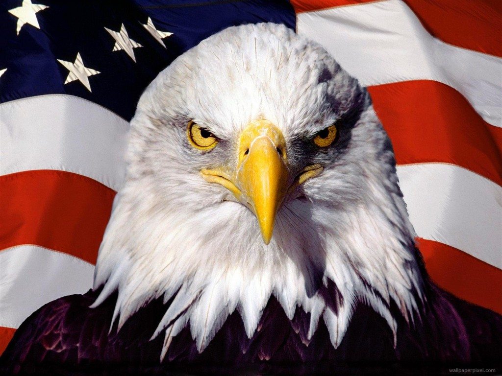 american-eagle-patriot-2800x2100