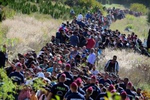 Directed by Hungarian police officers, migrants make their way through the countryside after they crossed the Hungarian-Croatian border near the village of Zakany in Hungary to continue their trip to north on September 21, 2015. Croatia and Hungary have traded barbs on a national level, each pointing the finger at the other over their responses to Europe's escalating migrant crisis. AFP PHOTO / ATTILA KISBENEDEK