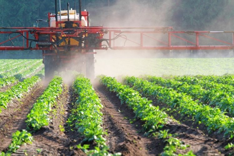 agriculture