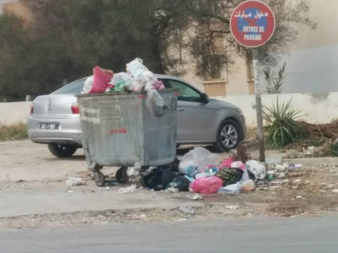 manar3