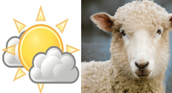 météo aid