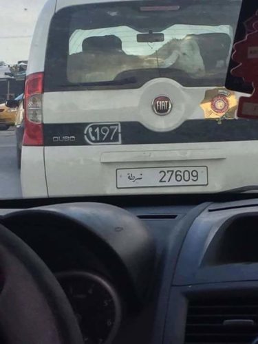 police-09092106