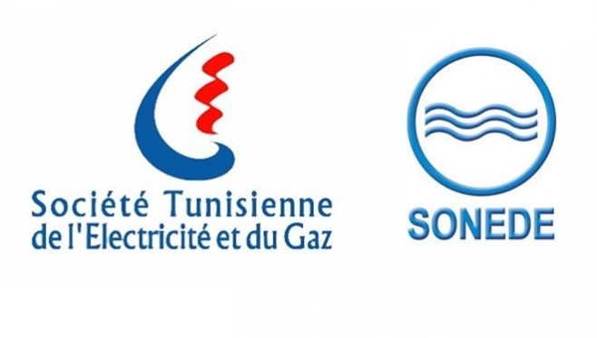 steg-sonede