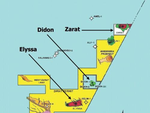 0302-26289-tunisie-enquest-renonce-au-champ-petrolier-didon-et-au-permis-zarat-de-pa-resources_l