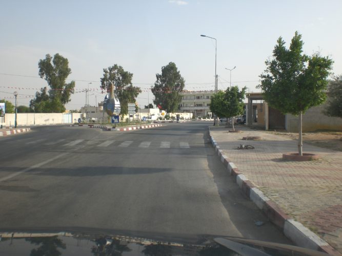 jelma