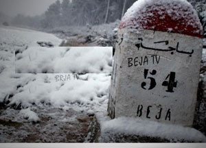 beja-froid
