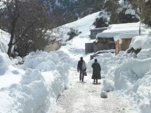 neige-alg