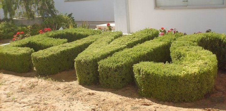 enis