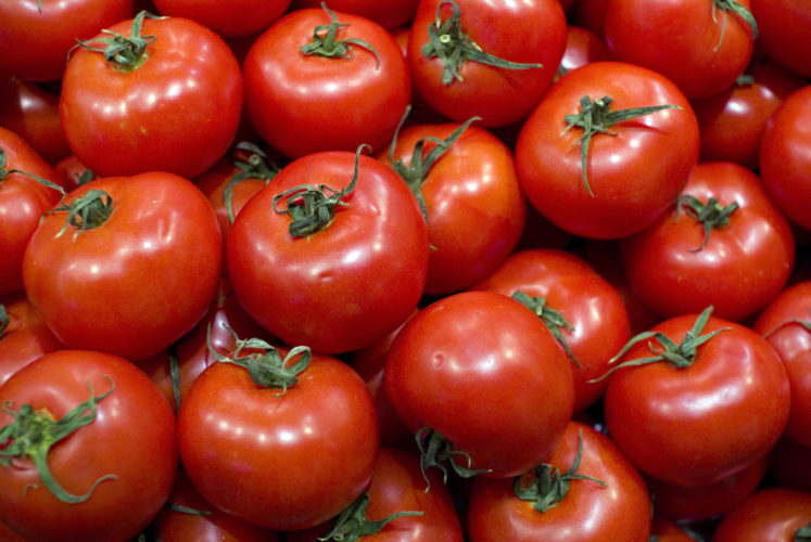 tomates tomates