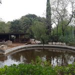 Zoo du belvédère : arrêter le massacre!! Zoo du belvédère : arrêter le massacre!!