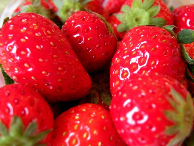 fraises