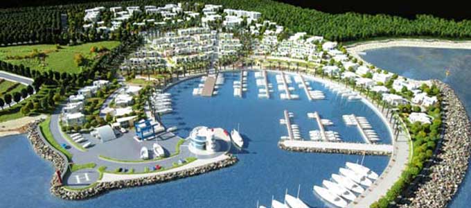 marina-ghammart