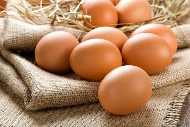 oeuf-08052017