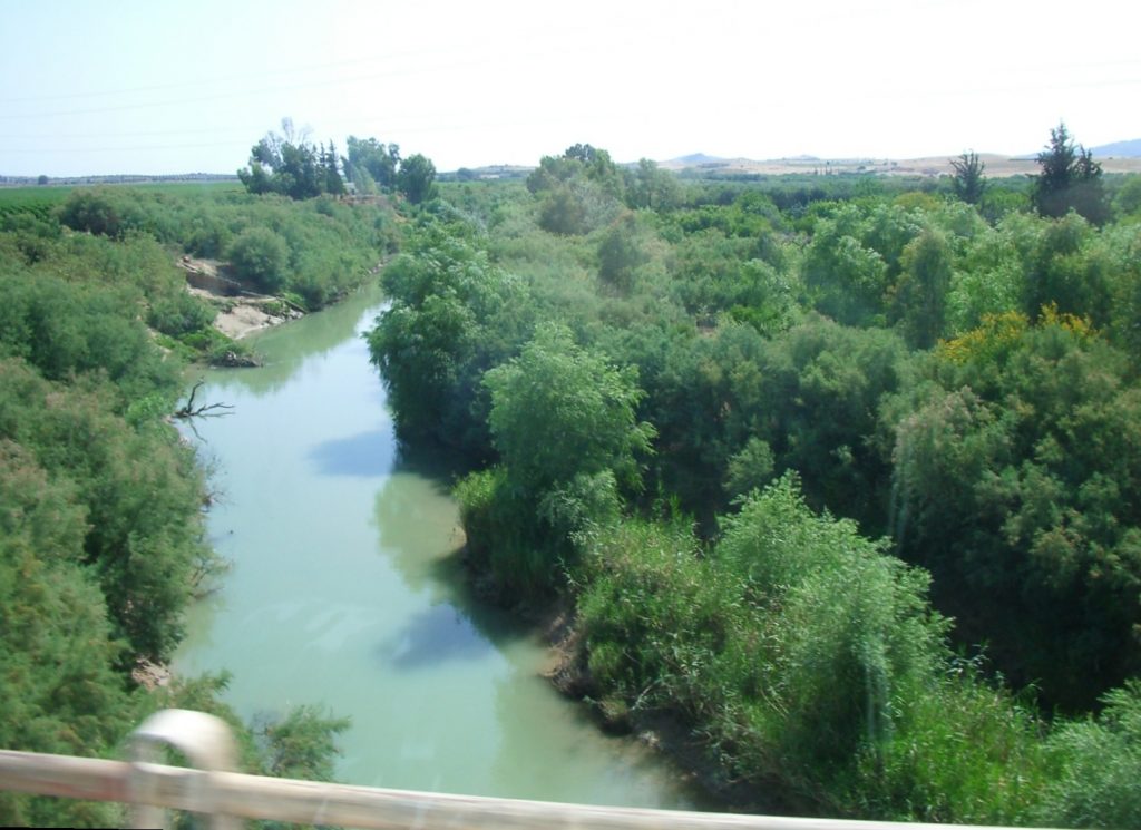 oued-medjerda
