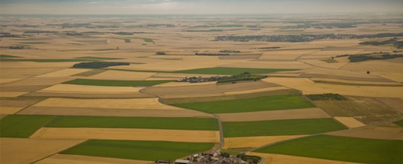 terre-beja