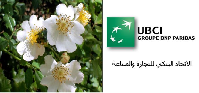 ubci-zaghouan