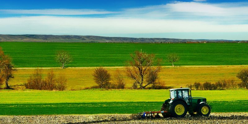 secteur-agricole-tunisie-l-economiste-maghrebin