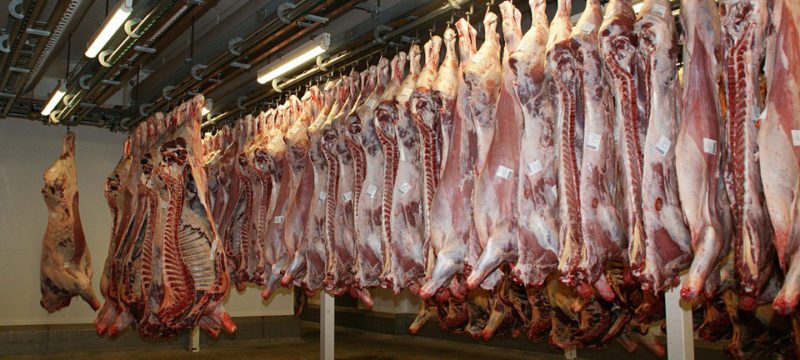abattoir-022017