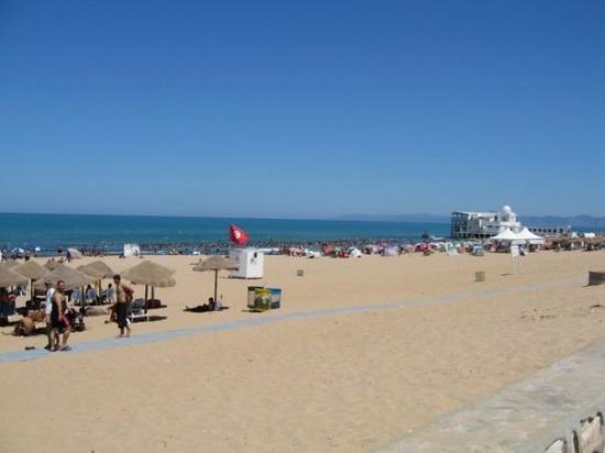 marsa