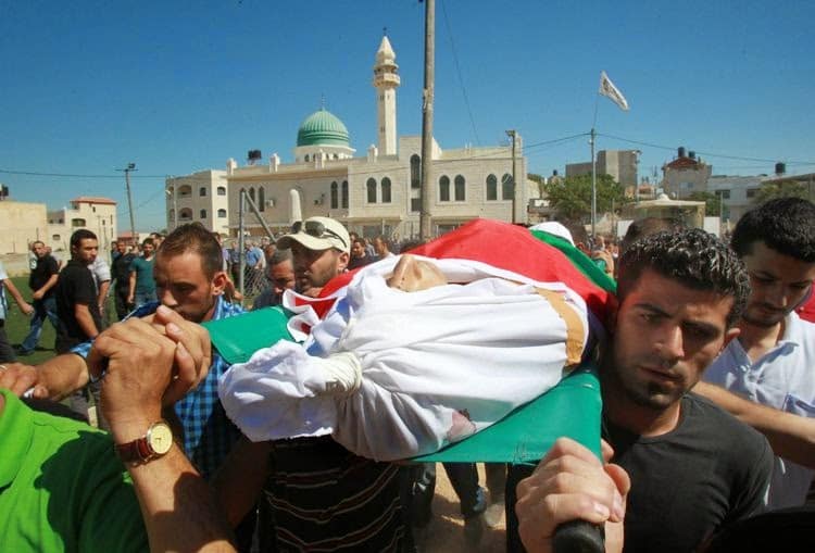 5f49f-140725-palestinecisjo