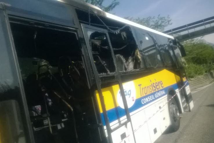 bus-algerien