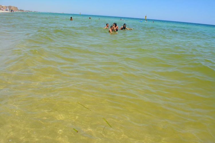 souss