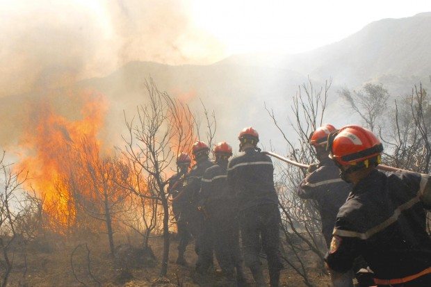protection-civile-algerie