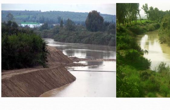 oued-mejerda