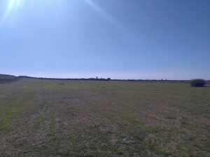 23113611_10214455921090265_956073036_n