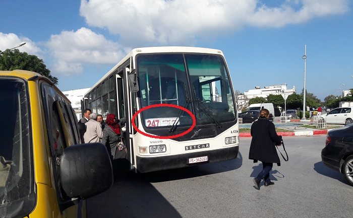 bus-marsa