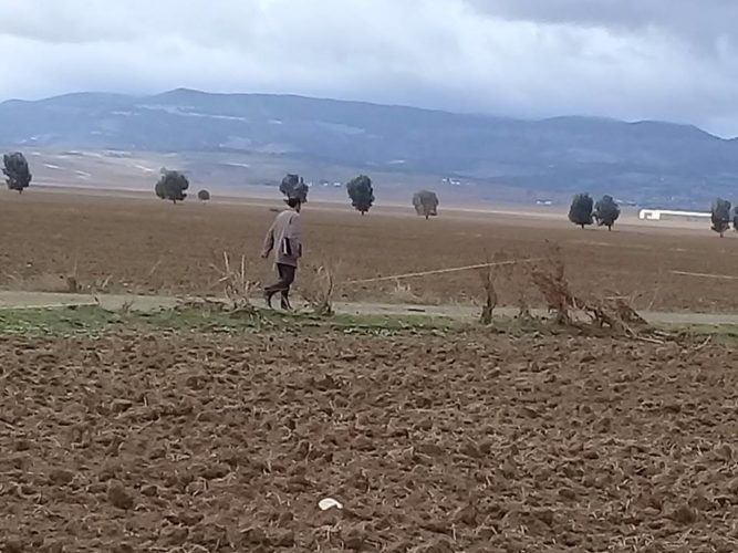 domaineetat