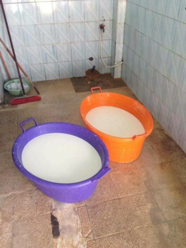 lait-5