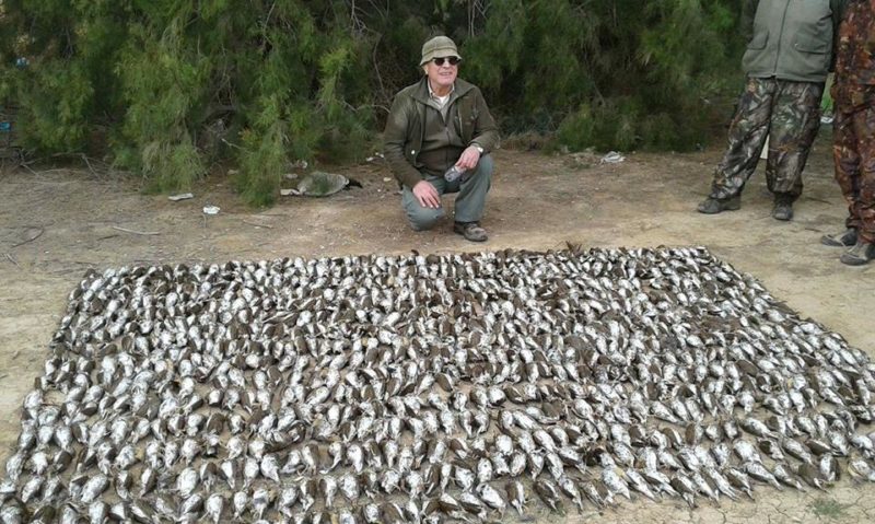 club-chasse-liban-tunisie