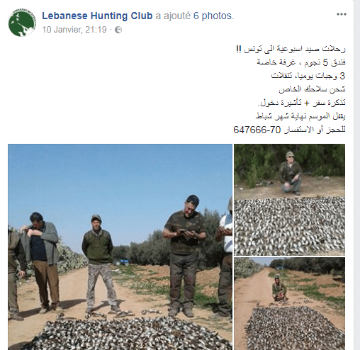 club-chasse-libanais-tunisie