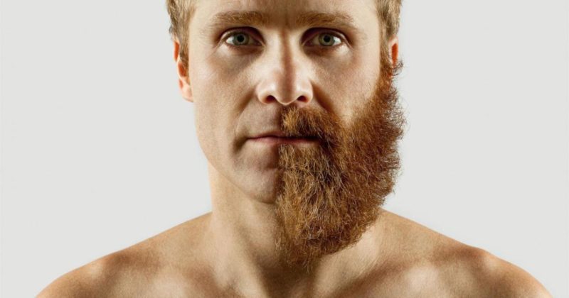 barbe
