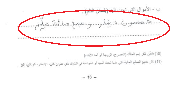 hamma-hammami-fortune