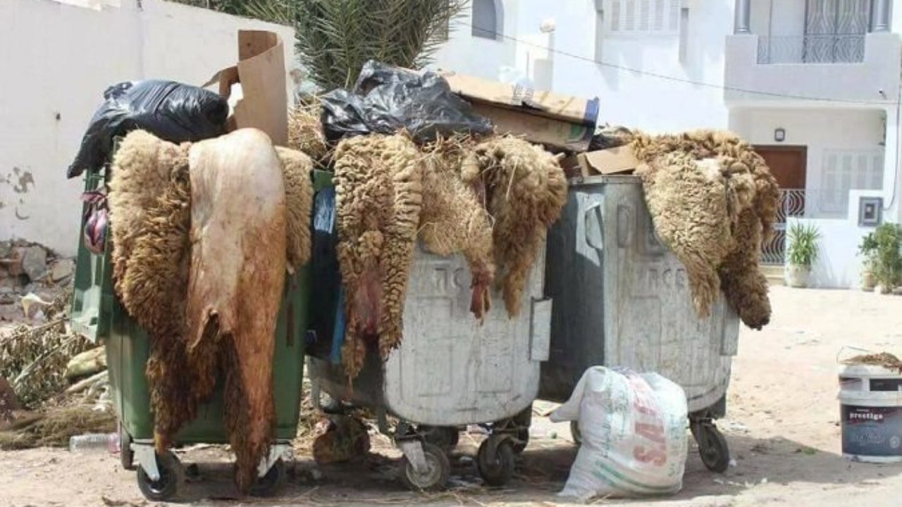 RÃ©sultat de recherche d'images pour "dechet aid 2019 algerie"